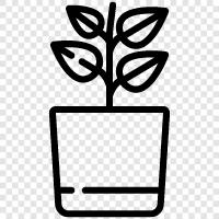 Botany, Plant Physiology, Plant Growth and Development, Plant Nutrition icon svg