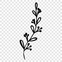 Botany, Gardening, Flowers, Plant icon svg