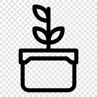 Botany, Plant Science, Plant Biology, Plant Anatomy icon svg