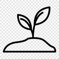 Botany, Flowers, Vegetables, Plant icon svg