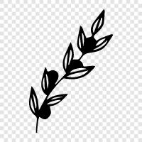 Botany, Plant Species, Plants of the World, Flowers icon svg