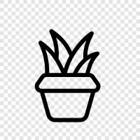 botany, gardening, flowers, vegetables icon svg