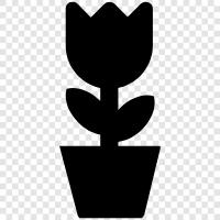 Botany, Plant Science, Plant Biology, Plant Physiology icon svg