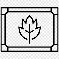 botany, identification, plants, herbarium icon svg