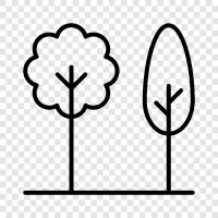 botany, leaves, flowers, bark icon svg