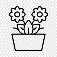bouquet, arrangement, flora, garden icon svg