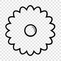 Bouquet, Floral, Bloom, Bloomer icon svg