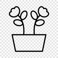 buket, bahçe, çiçek, çiçek düzenlemesi ikon svg