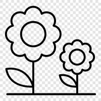 bouquet, arrangements, garden, blooming icon svg