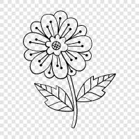 Bouquet, Floral, Bloom, Bloomers icon svg