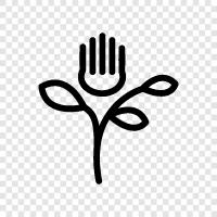 bouquet, gardening, garden, plants icon svg