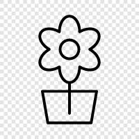 Bouquet, Flower Arrangement, Flower Shop, Flowers icon svg