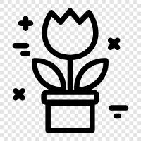 Bouquet, Bouquet of Flowers, Flower Arrangement, Flower Bou icon svg