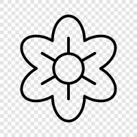 Bouquet, Bouquets, Greeting Card, Flowers icon svg