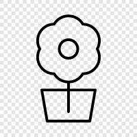 Bouquet, Flower Girl, Florist, Bloom icon svg