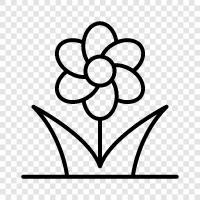 Bouquet, Bloom, Blossoming, Fragrance icon svg