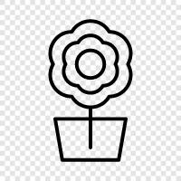 Bouquet, Vase, Bloom, Bloomers icon svg