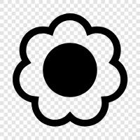 bouquet, blossom, petal, stem icon svg