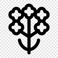 Bouquet, Florist, Gardener, Flowers icon svg