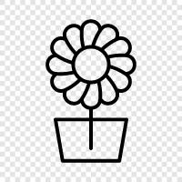 bouquet, flowers for sale, fresh flowers, wreath icon svg