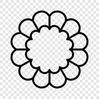 bouquet, flowers delivery, flowers delivery near me, flower delivery service icon svg