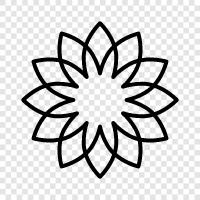 Bouquet, Garden, Bloom, Bloomers icon svg