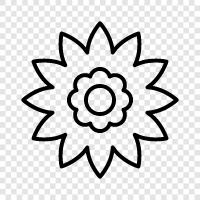 Bouquet, Floral, Bloom, Garden icon svg