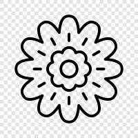 bouquet, blossom, daisy, rose icon svg