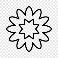 Blumenstrauß, Blüte, Duft, Schönheit symbol