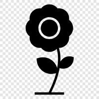 Bouquet, Bloom, Petal, Vase icon svg