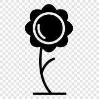 Bouquet, Girl, Spring, Floral icon svg