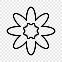 Bouquet, Florist, Bloom, Blooms icon svg