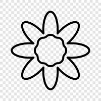 Bouquet, Florist, Florist Supplier, Florist Delivery icon svg