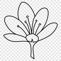 Bouquet, Florist, Florist Supplier, Flowers icon svg