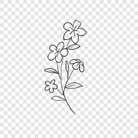 Blumensträuße, Blumenversand symbol