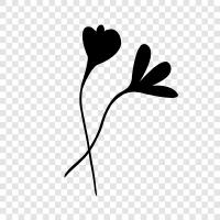 buket, çiçek, bloom, bloomers ikon svg