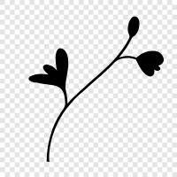 Blumenstrauß, Arrangement, Blumen, Garten symbol