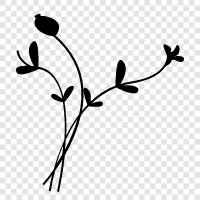 Blumenstrauß, Blumenarrangement, Blumenladen, Flora symbol