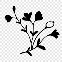Blumenstrauß, Blumensträuße, Floristen, Blumen symbol