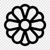 Blumenstrauß, Blüte, Florist, Nelke symbol