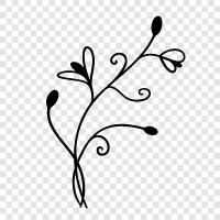 Blumen, Garten, Gartengestaltung, Blüte symbol
