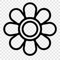 Blumenstrauß, Blüte, Farben, Gartenarbeit symbol