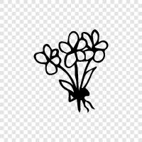 bouquet, garden, flora, blooming icon svg