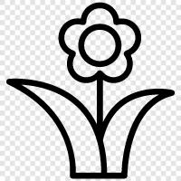 Blumen, Blumenstrauß, Gärtner symbol
