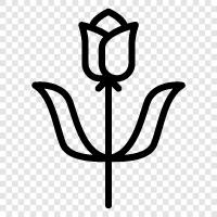 Blumenstrauß, Blumen symbol