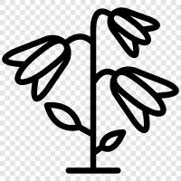 Blumenstrauß, Kranz, Garten, Gartenblumen symbol