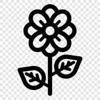 Bouquet, Floral, Bloom, Plant icon svg