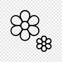 Blumenstrauß, Blumensträuße, Florist, Blumenladen symbol
