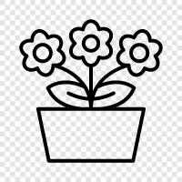 bouquets, arrangements, flora, foliage icon svg