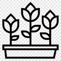 bouquets, arrangements, plants, garden icon svg